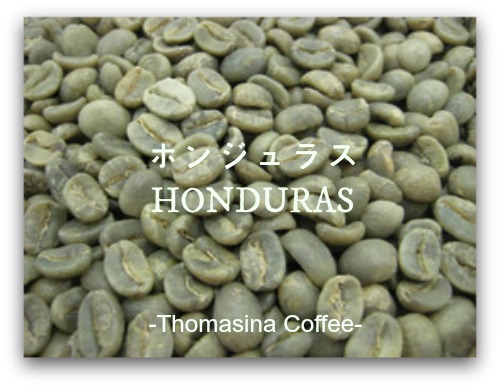画像: 新規入荷　お豆　ホンジュラスHG