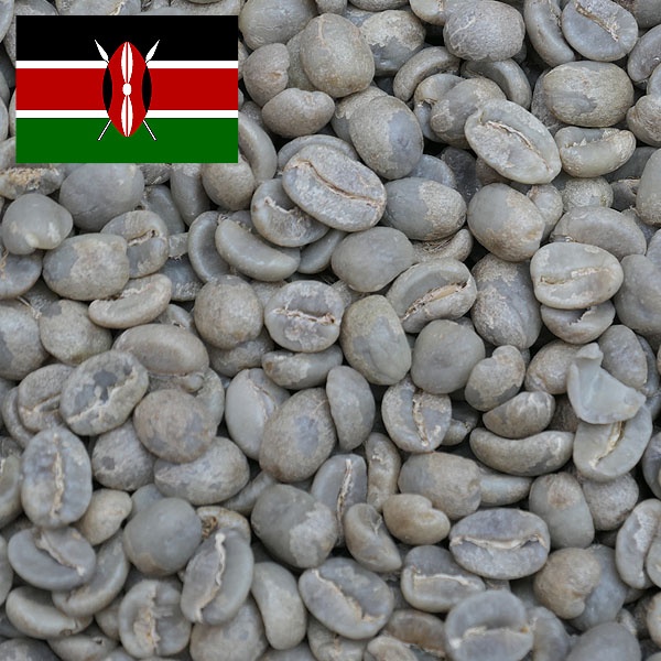 画像1: ケニアAA